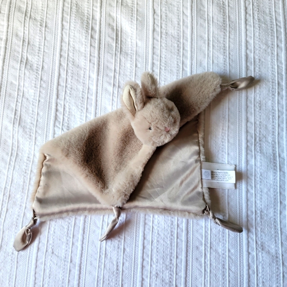 Pottery Barn Kids Bunny Lovey/Thumbie